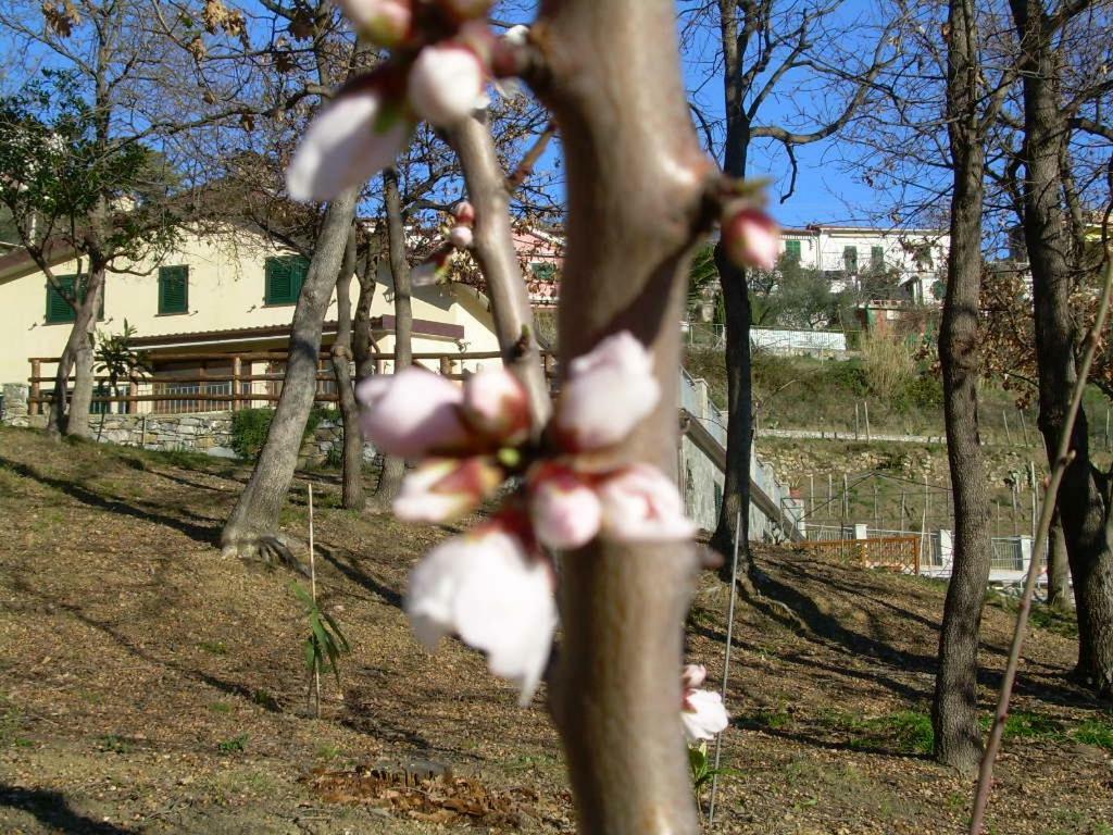 Apartament Ariabuona Moneglia Zewnętrze zdjęcie